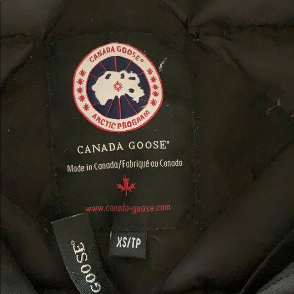 Canada goose replica - Picture 6 of 6